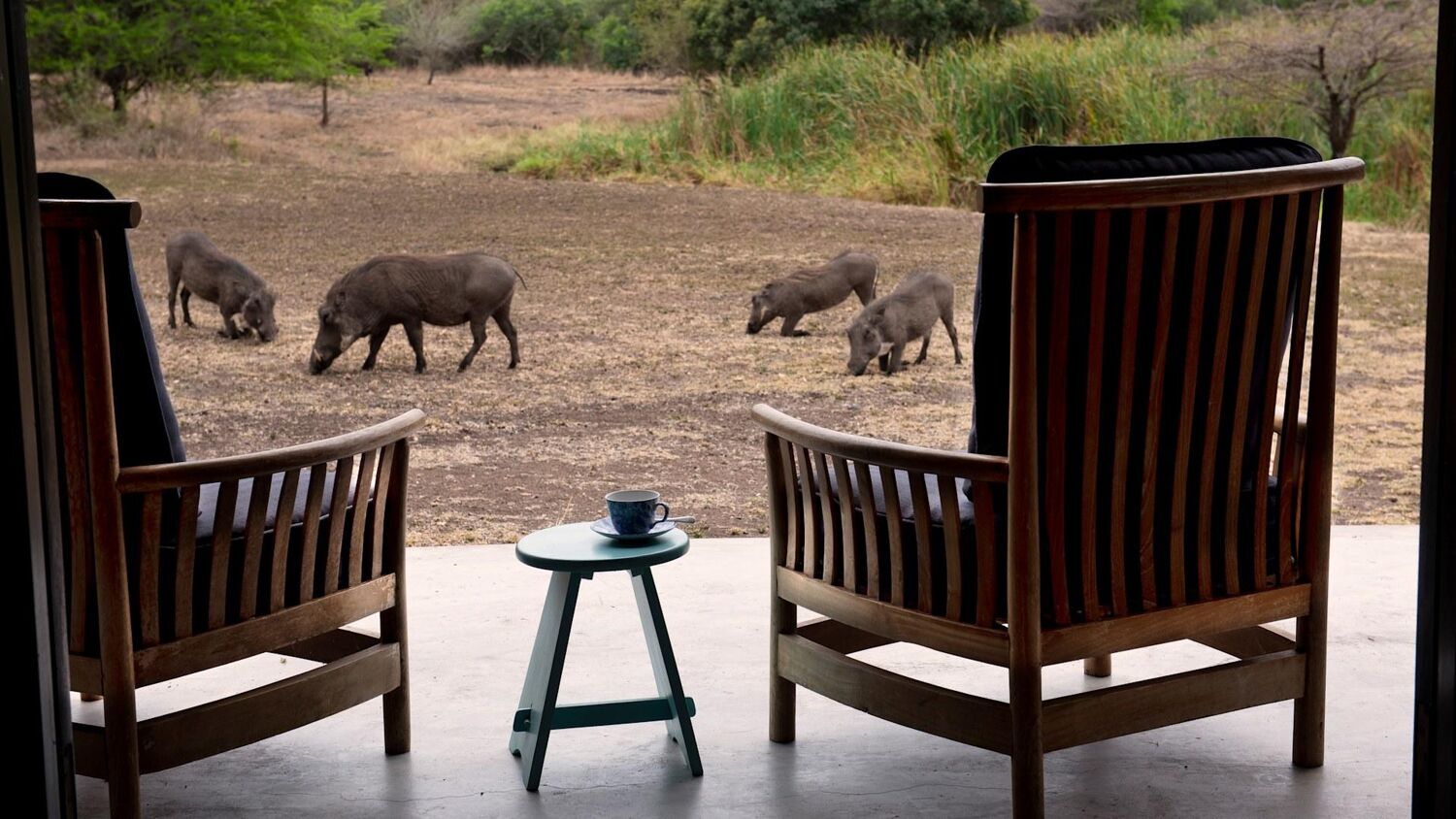 PlaceholderImage1302